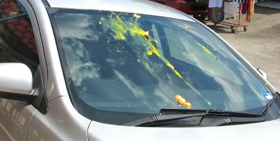 What To Do If Someone Eggs Your Car